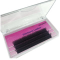 Best selling High quality Camellia eyelashes Volume Y shape lashes Eyelash extensions